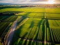 Aerial view of acres of farmland.