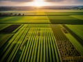 Aerial view of acres of farmland.