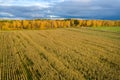 Autumn evening on the agricultural field Royalty Free Stock Photo