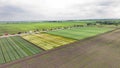 Aerial View of Agricultural Field Testing, Varied crop trials in an agricultural field with machinery and attendees.