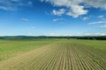 Aerial view of agricultural fields. Countryside, Agricultural