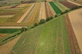 Aerial view of agricultural fields by drone