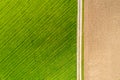 Aerial view of agricultural fields at sunny weather, field with a green grass on the one side and the plowed field on Royalty Free Stock Photo
