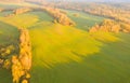 Aerial view of agricultural green field. Plowed agricultural field. Aerial view autumn field. Agricultural land. Rural andscape Royalty Free Stock Photo