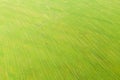 Aerial view of agricultural green field. Plowed agricultural field. Aerial view. Agricultural land. Rural andscape top view Royalty Free Stock Photo