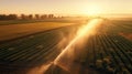 Aerial view of at Agricultural irrigation system in potato field, watering crop for more growth. Center pivot system irrigation.