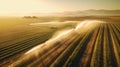 Aerial view of at Agricultural irrigation system in potato field, watering crop for more growth. Center pivot system irrigation.