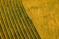 Aerial view of a agricultural machine during hay production. Beauty and patterns of a cultivated farmland.