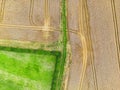 Aerial view of agricultural tractor marks on fields of crops in Weeton, North Yorkshire, UK