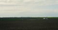 Aerial view agriculture field landscape background. Wheat crops growing on farm. Royalty Free Stock Photo