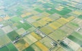 Aerial view of agriculture field in summer at chitose hokkaido japan