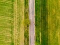 Aerial view of agriculture fields, meadow and road inside. Rural scene of countryside. Fresh green colors, look to above tree. Day