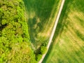 Aerial view of agriculture fields, meadow and road inside. Rural scene of countryside. Fresh green colors, look to above tree. Day