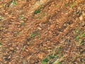 Aerial view of agriculture plowed field. Minimal tillage for healthier soils. Fertile soil in organic agricultural farm. Soil