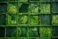 An aerial view of an algae biofuel farm growing algae in huge open ponds. algae-based biofuels as a renewable alternative to