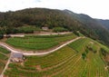 Aerial view of the alpine vineyards on a summer day. flat rows of fields, farms, small village of Faver, famous for wine Royalty Free Stock Photo