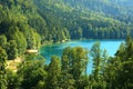 Aerial view of Alpsee Lake, OstallgÃÂ¤u, Swabia Schwaben, Bavaria Bayern, Germany Deutschland Royalty Free Stock Photo