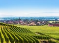 Aerial view of Alsace fruit valley at Kaysersberg Royalty Free Stock Photo