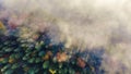 Aerial view of amazing landscape of Carpathian forests. Morning fog spreads over the river and envelopes the mountains Royalty Free Stock Photo