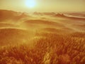 Aerial view of amazing misty forests landscape Royalty Free Stock Photo
