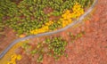 Aerial view of an amazing winding curved road through the mountains in autumn fall colors landscape, motorway in Romania Royalty Free Stock Photo