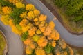 Aerial view of an amazing winding curved road through the mountains in autumn fall colors landscape, motorway in Romania Royalty Free Stock Photo