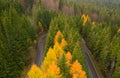 Aerial view of an amazing winding curved road through the mountains in autumn fall colors landscape, motorway in Romania Royalty Free Stock Photo