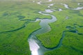 Aerial View Of Amazon Rainforest In Brazil, South America. Green Forest. Bird`s-eye View