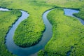 Aerial view of Amazon rainforest in Brazil, South America. Green forest. Bird`s-eye view