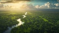Aerial view of Amazon rainforest in Brazil, South America. Green forest. Bird's-eye view Royalty Free Stock Photo