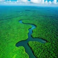 Aerial View of the Amazon South American of tropical green aerial