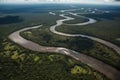 aerial view of the amazonas, with dense forest and winding rivers