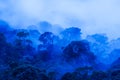 Aerial view of ancient tropical forest in blue misty, art of shape of wild trees on rainy morning