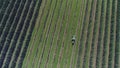 Aerial View of Apple Plantation in Slavonija