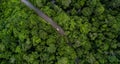 Aerial view asphalt road and green forest, Forest road going through forest with car adventure view from above, Ecosystem and Royalty Free Stock Photo