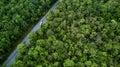 Aerial view asphalt road and green forest, Forest road going through forest with car adventure view from above, Ecosystem and Royalty Free Stock Photo