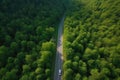 Aerial view road and forest. Road going through forest with car view from above. Generative AI Royalty Free Stock Photo