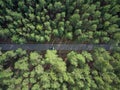 Aerial view asphalt road and green pine forest with car adventure view from above Royalty Free Stock Photo