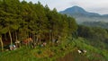 Aerial view of The atmosphere around the tent site of the Datar Pinus park. Lots of traveller are Camping at Datar Pinus