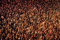 Aerial view of the audience at Heineken Primavera Sound 2014 Festival PS14 Royalty Free Stock Photo