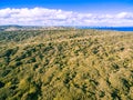 Aerial view of Australian countryside with wind farm in the distance on bright summer day. Royalty Free Stock Photo