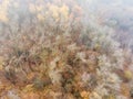 Aerial view of an autumn bald forest loomming through fog Royalty Free Stock Photo