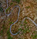 Aerial view of autumn forest with a curvy road. Captured from above with a drone in Bavaria, germany. Royalty Free Stock Photo