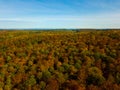 Aerial view of autumn forest. Fall landscape with red, yellow and green foliage on a sunny October day Royalty Free Stock Photo