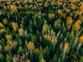 Aerial view of autumn forest. Fall landscape with red, yellow and green trees. Royalty Free Stock Photo