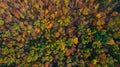 Aerial view of the autumn forest. Orange, yellow, green trees. Forest texture Royalty Free Stock Photo