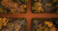 Aerial View of Autumn Forest Path Intersection Royalty Free Stock Photo