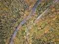 Aerial view of the autumn forest and small stream. Way along the river in the mountains covered with green and colorful forest Royalty Free Stock Photo