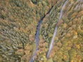 Aerial view of the autumn forest and small stream. Way along the river in the mountains covered with green and colorful forest Royalty Free Stock Photo