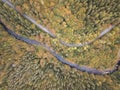 Aerial view of the autumn forest and small stream. Way along the river in the mountains covered with green and colorful forest Royalty Free Stock Photo